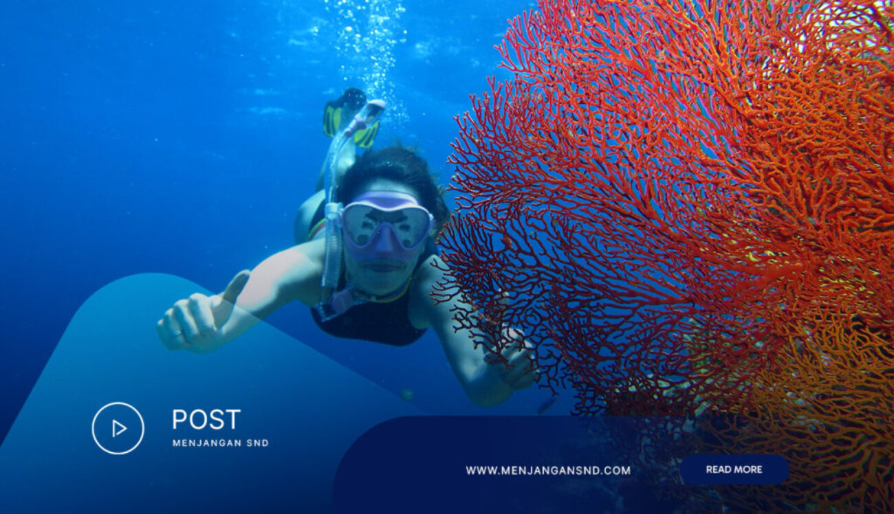 Affordable-Menjangan-Snorkeling-Packages