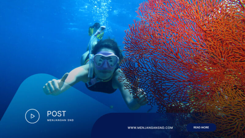 Affordable-Menjangan-Snorkeling-Packages
