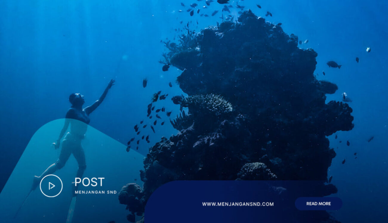 Exclusive-Diving-at-Menjangan-Island-Bali