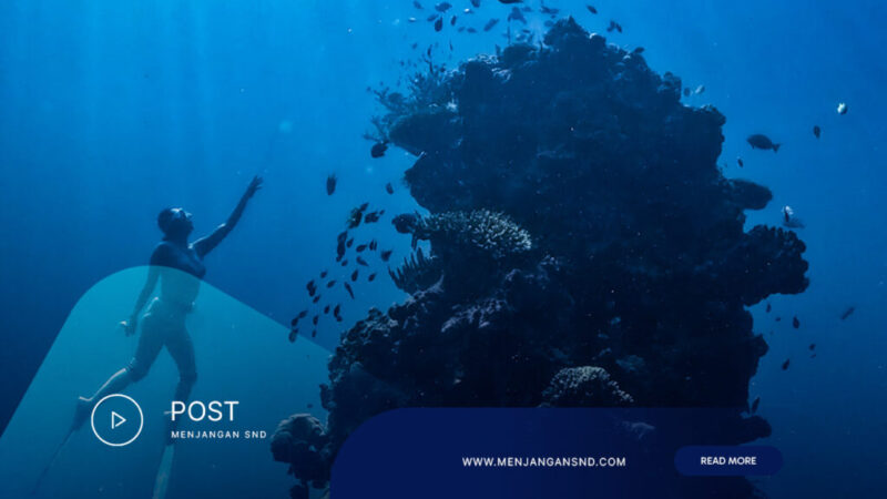 Exclusive-Diving-at-Menjangan-Island-Bali